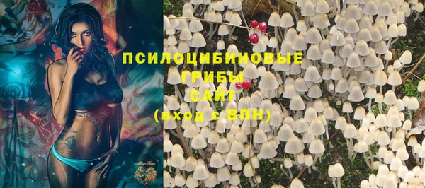 дурь Осинники