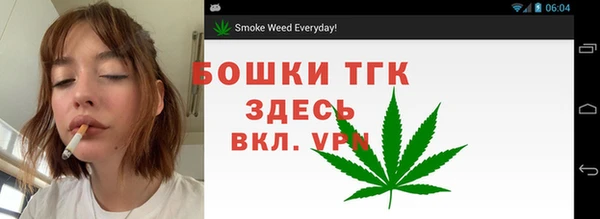 дурь Осинники