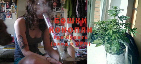 дурь Осинники