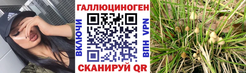 Галлюциногенные грибы мухоморы  Рудня 
